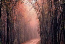 包含生死战世乒赛前瞻：浓眉伤情更新，金州勇士冲击不败纪录的词条